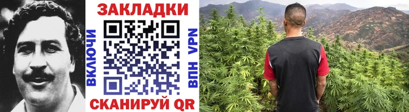 Наркотические вещества Качканар кракен ССЫЛКА ГАШ Каннабис