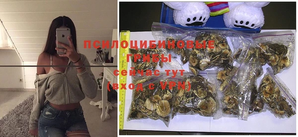 тгк Бронницы